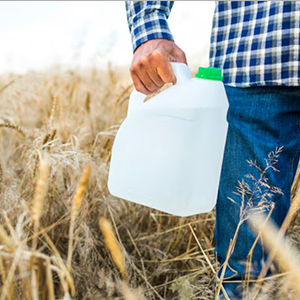 Agro Chemicals Insecticides