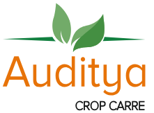 Auditya Crop Carre